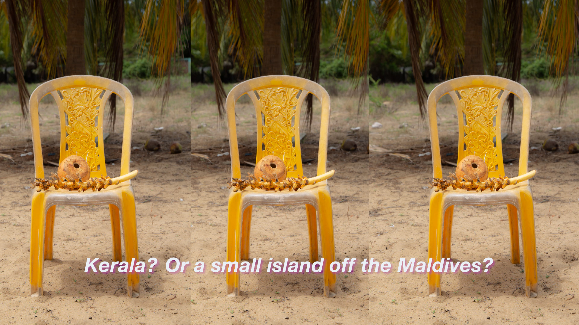 kerala-batticaloa-yellow-chairs-coco-l-dayhew